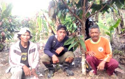 Technical Project Assistant for teaching Indigenous Farmers how to grow cacao sustainably
