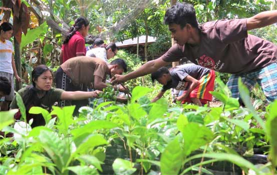 A group of people are working in a garden.