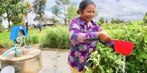 A woman is watering plants with a red bucket.