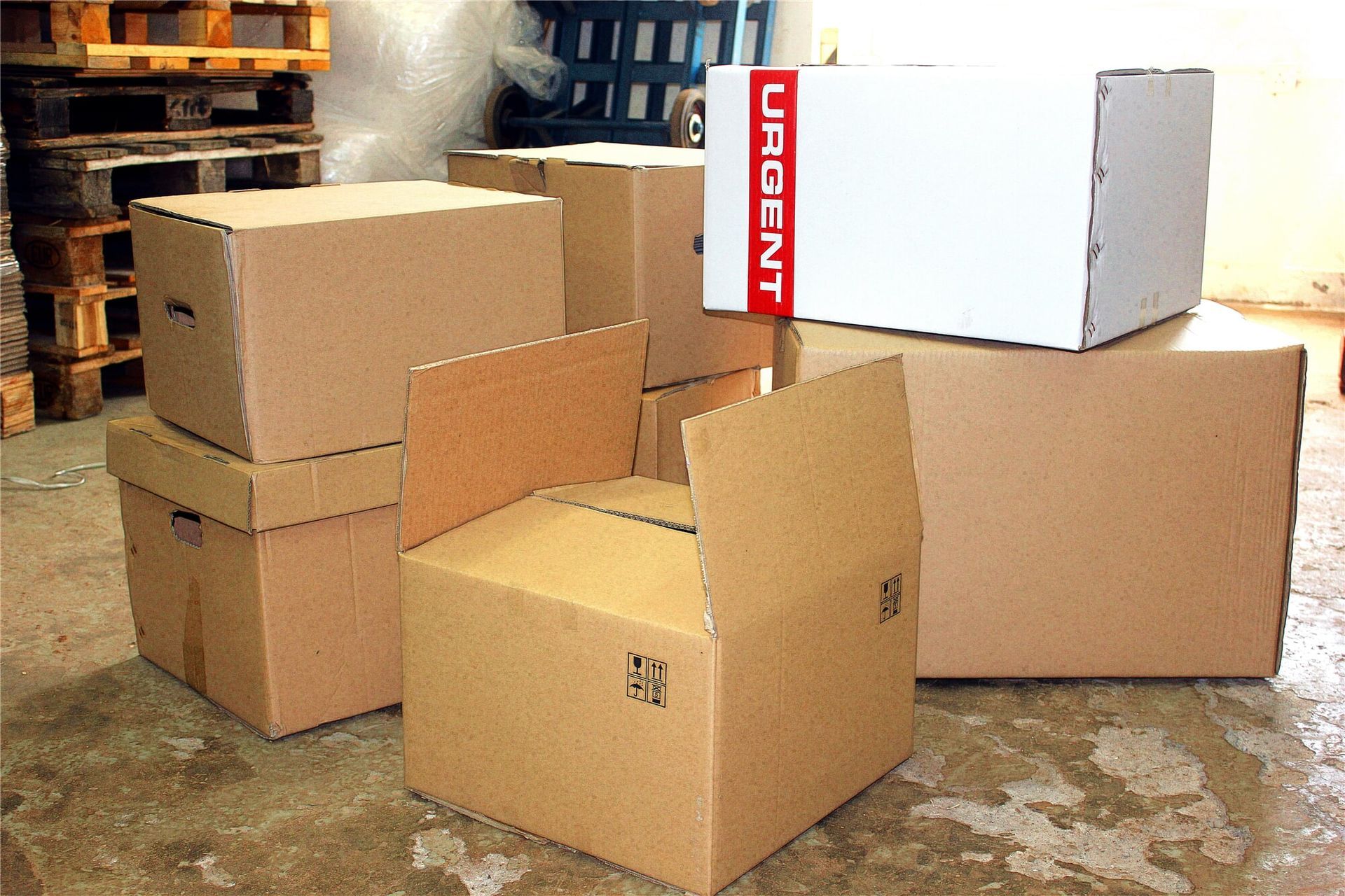 各式光身卡通箱