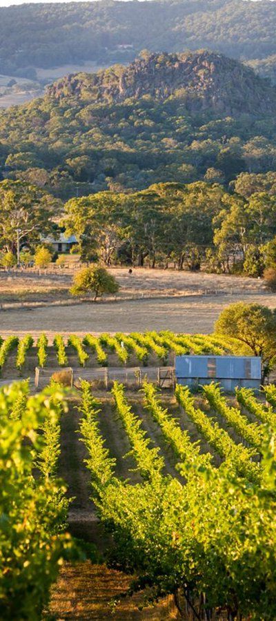  Macedon Ranges Wineries