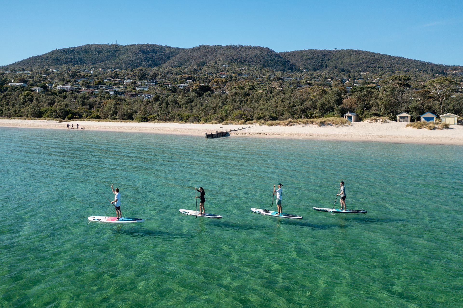 People paddleboarding on clear water, beach and forested hills in background.