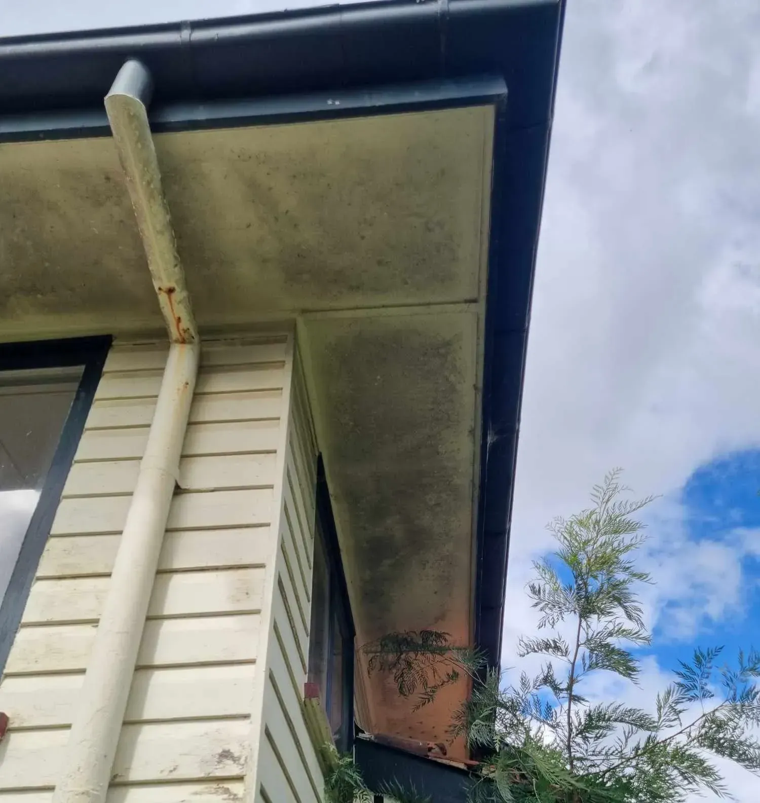 exterior soft house washing