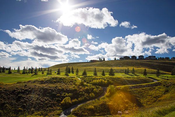 Sunny day over a green hill with trees, a road, and buildings under a bright blue sky.