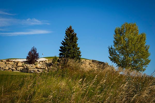 Grassy foreground, small hill with a golf green, trees against a bright blue sky.