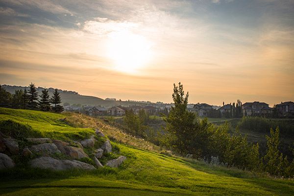 Green grassy hill with rocks and trees under a setting sun, suburban houses in the distance.