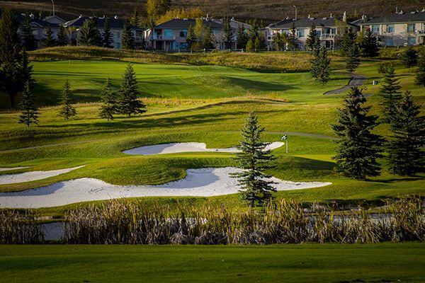 Golf course with green grass, sand traps, and tall trees, with houses in the background.
