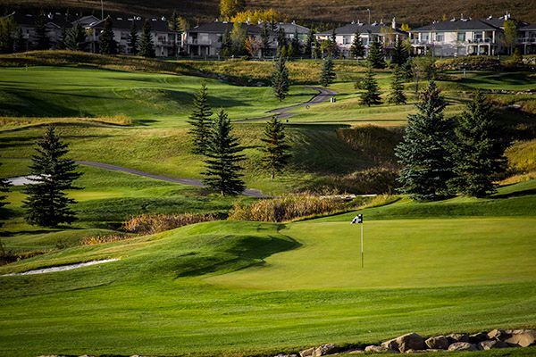 Golf course with green grass, trees, and houses in the background. A flag on the green.