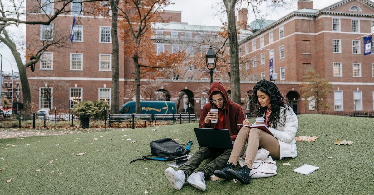 A group of students are sitting on the grass in a park using laptops.