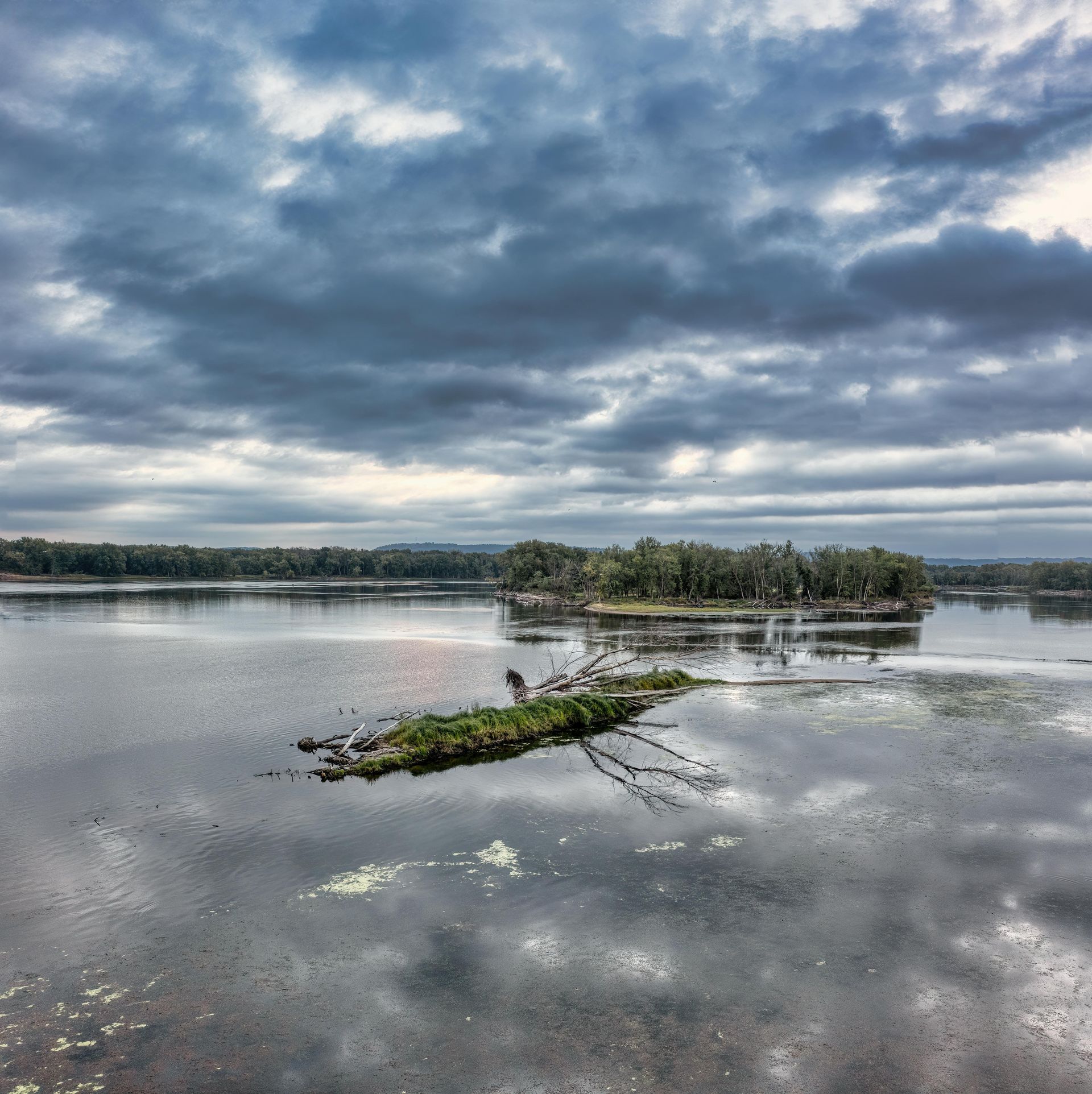 Hand with gold wedding ring on a wooden surface, blurred outdoor background.