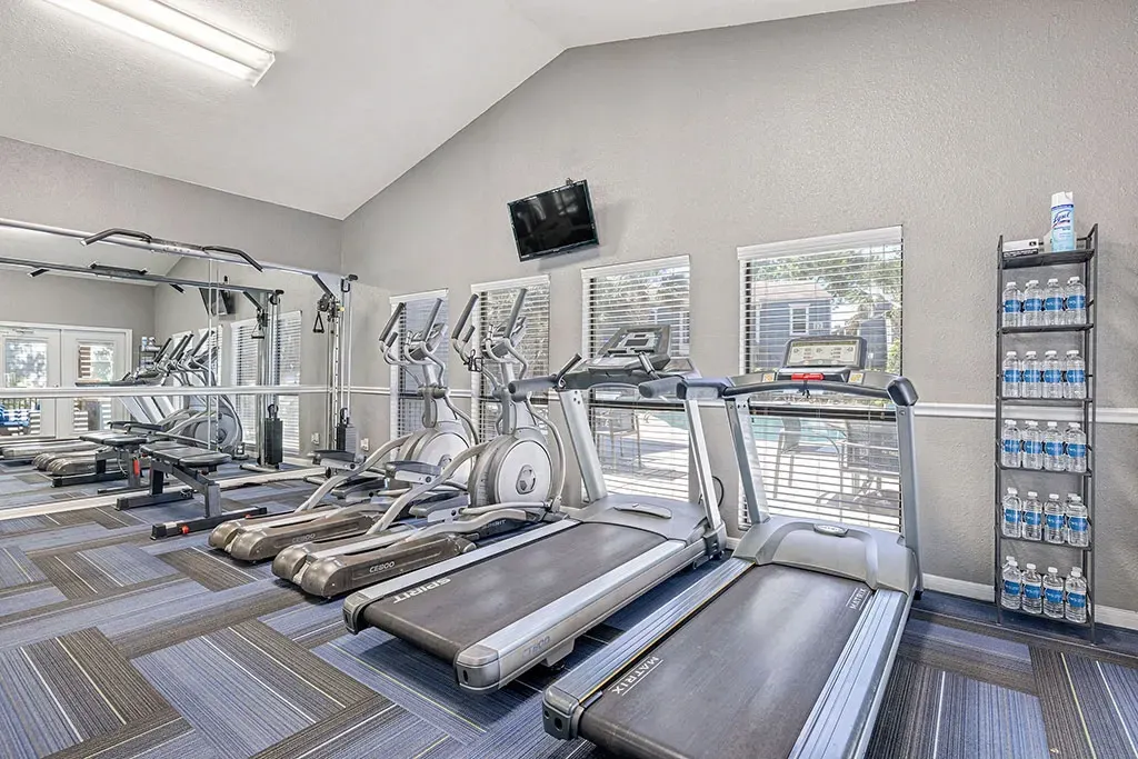 Treadmills and elliptical machines in a well-equipped fitness center.