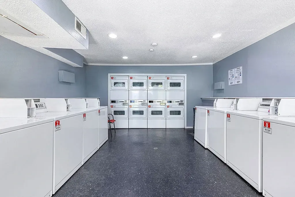 Community laundry room with rows of white washers and dryers.