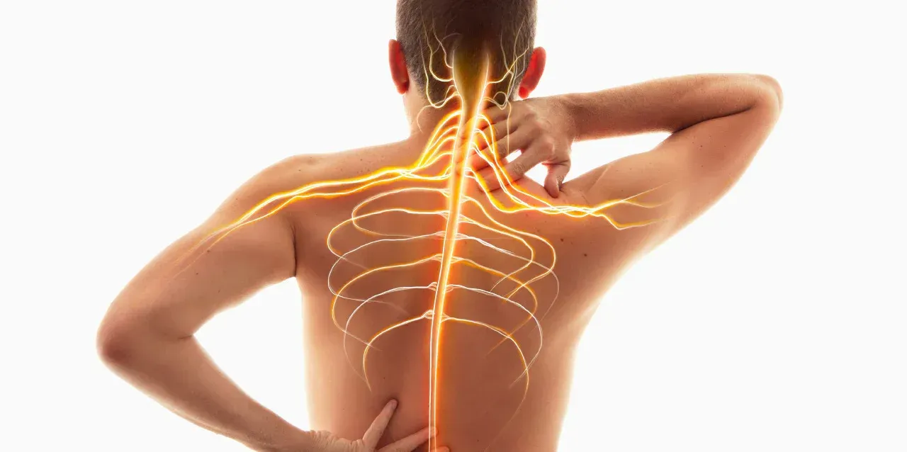 Man with nerves highlighted in his back