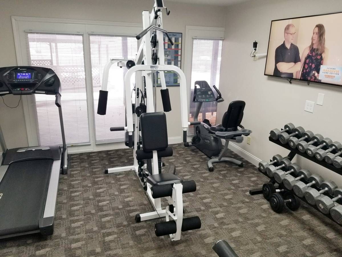 Gym with treadmill, weight machine, exercise bike, weights, and a TV.