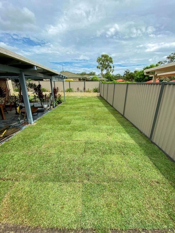 Landscaping and fencing