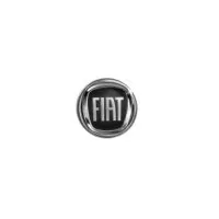 A black and white image of a fiat logo on a white background.