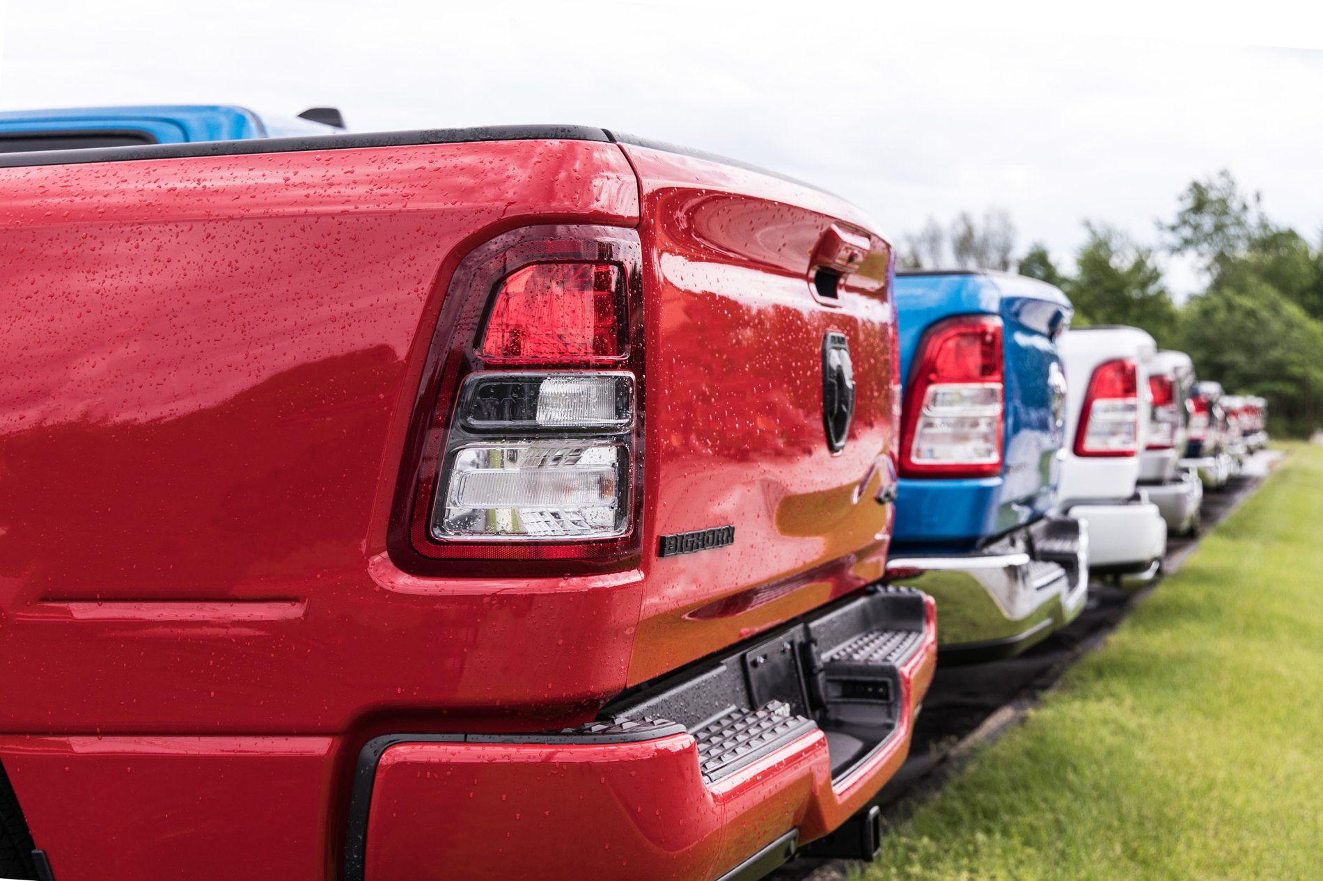 A row of red pickup trucks are parked in a grassy field.