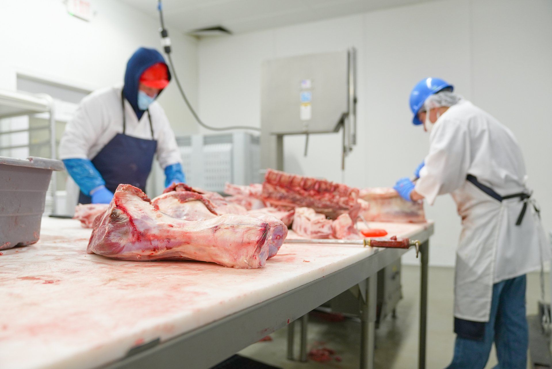 Meat Processors in MO