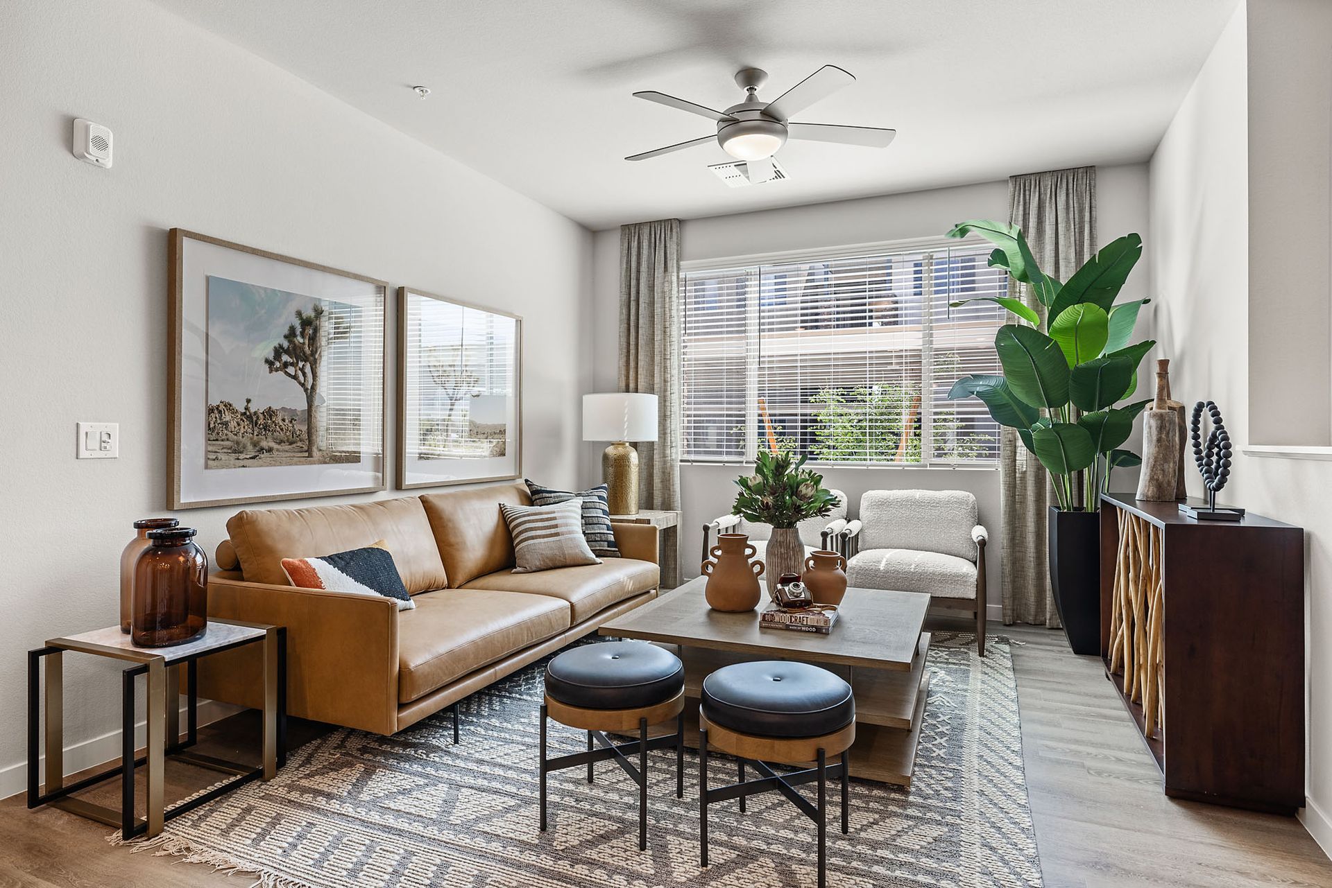 Living room with tan leather sofa, wooden coffee table, rug, and large plant next to a window.