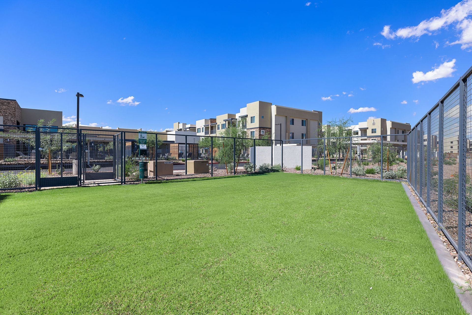 Fenced dog park with green turf, gate, and light-colored buildings in background under a blue sky at Marq Bronco Butte, offers apartments near Phoenix Sonoran Preserve in North Phoenix, AZ.