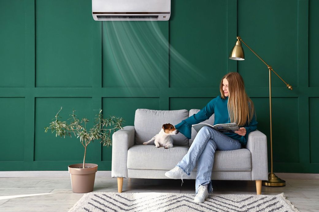 Una donna seduta su un divano grigio in un soggiorno verde con un gatto, una lampada, una pianta e un condizionatore a parete.