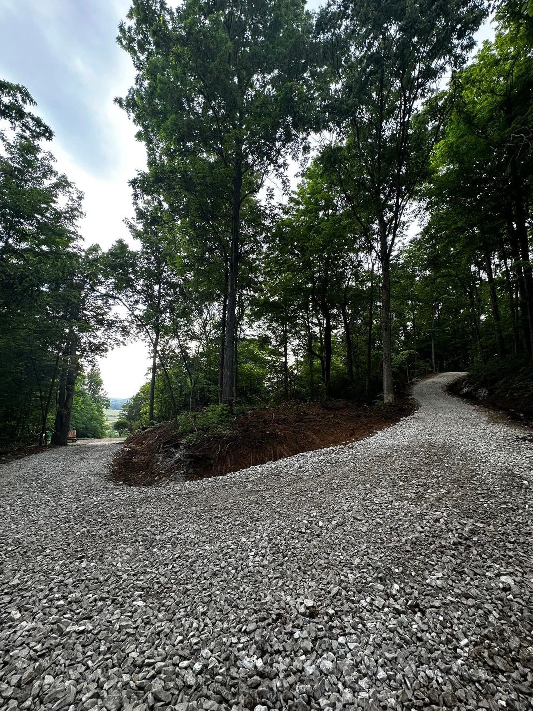 Gravel road forks through trees. Light gray gravel with dark green foliage. Cloudy sky.