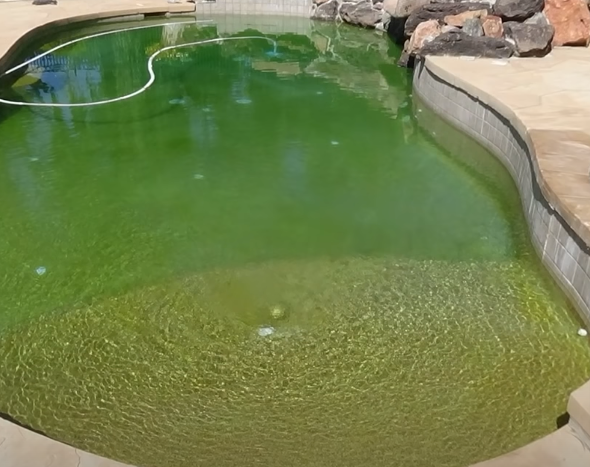 shock and chlorine for green pool