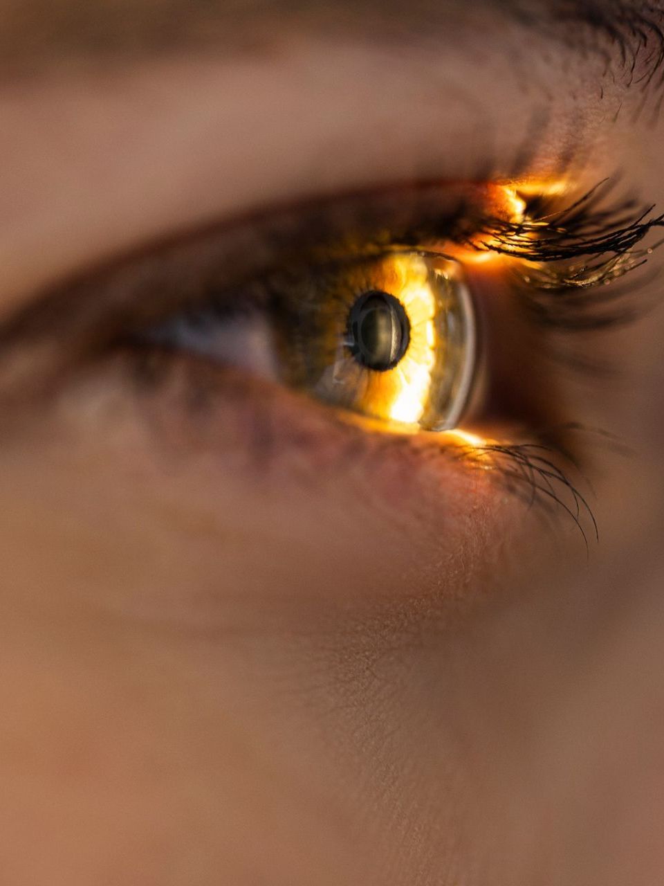 CONTROLLO DELLA VISITA