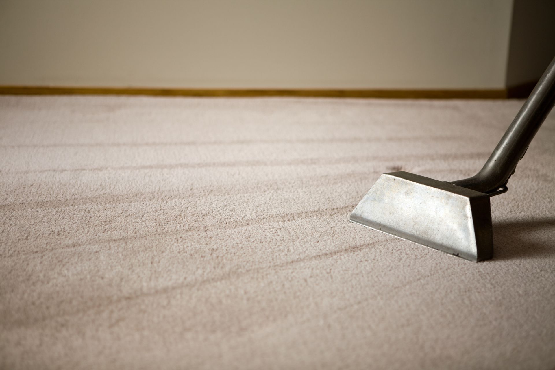 Person vacuuming a brown rug in front of a white couch in a living room.