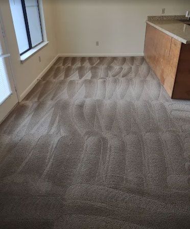 Beige carpet with steam cleaner patterns in a room with a window and a kitchen island.