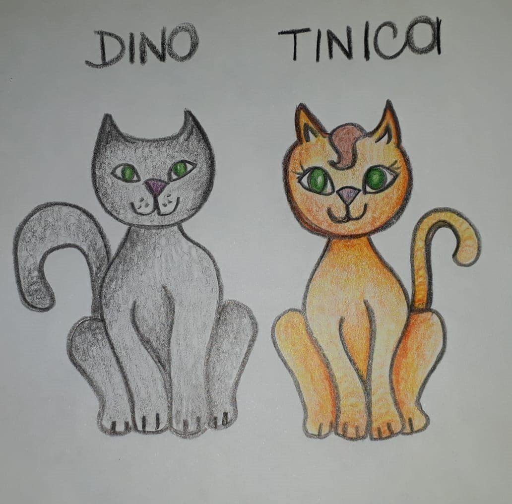 As criações de uma imaginação em papel é ilimitada.