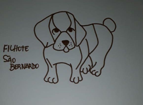 As criações de uma imaginação em papel é ilimitada.