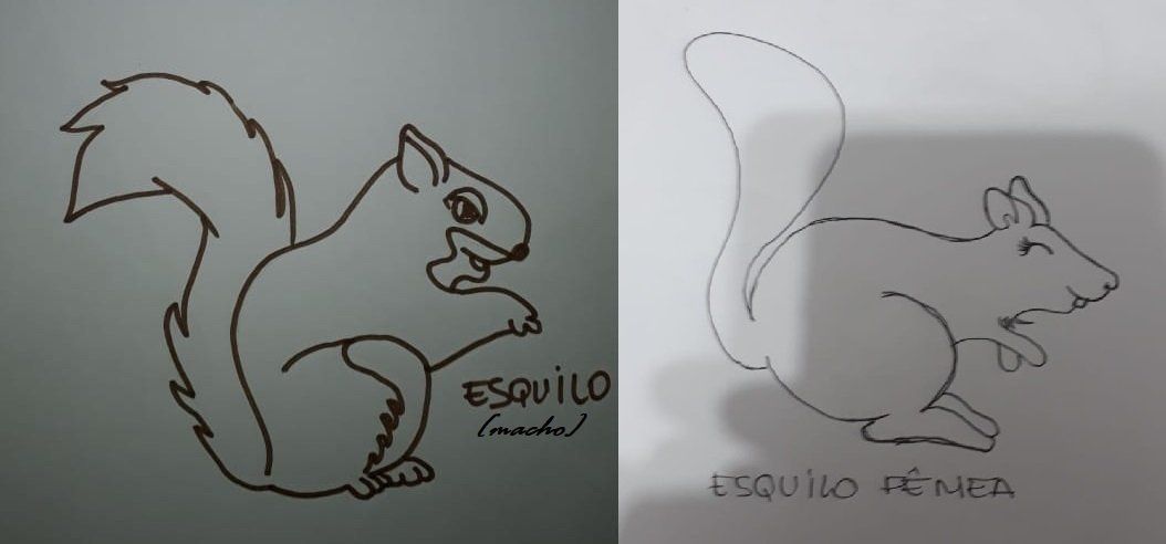 As criações de uma imaginação em papel é ilimitada.