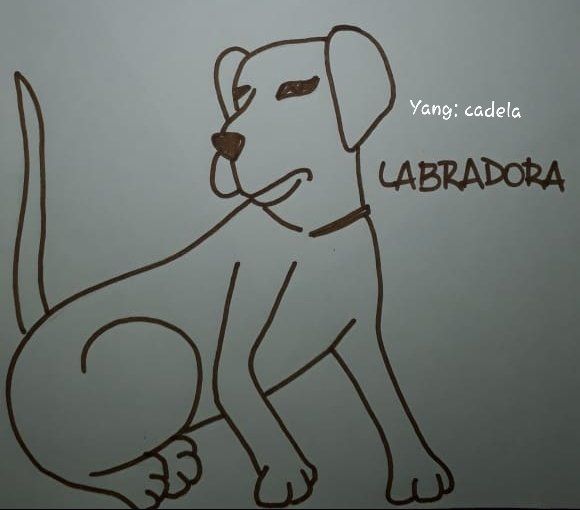 As criações de uma imaginação em papel é ilimitada.