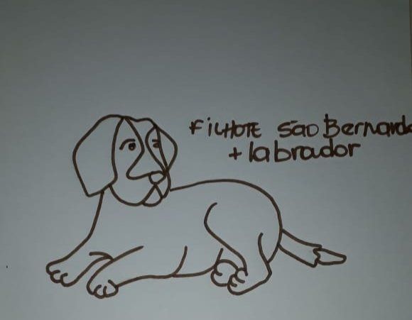 As criações de uma imaginação em papel é ilimitada.