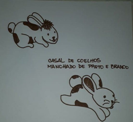 As criações de uma imaginação em papel é ilimitada.