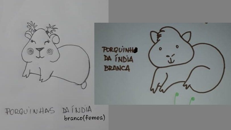 As criações de uma imaginação em papel é ilimitada.