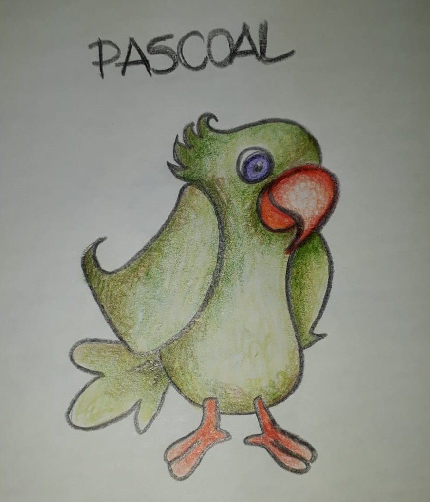 As criações de uma imaginação em papel é ilimitada.