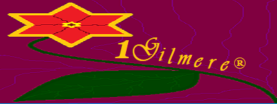 1G1 UNIVERSOS DIVERSOS