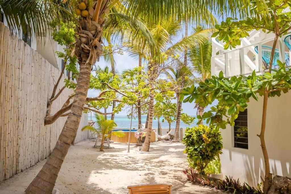 Tropical courtyard with palm trees, sandy ground, and buildings, leading to a view of the ocean.