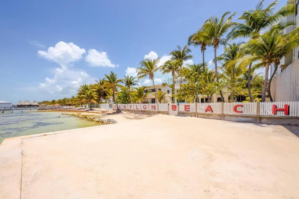 Sandy beach with palm trees and a white fence that says 