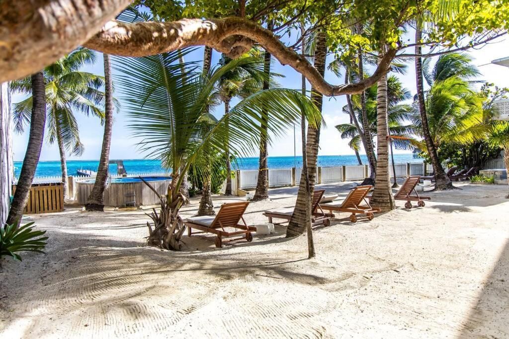 Beach scene with lounge chairs under palm trees, overlooking the ocean.