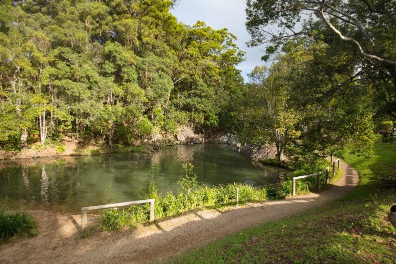 A Dirt Road Leading to a Lake Surrounded by Trees — Tweed Coast Pool Care in Currumbin Valley, QLD