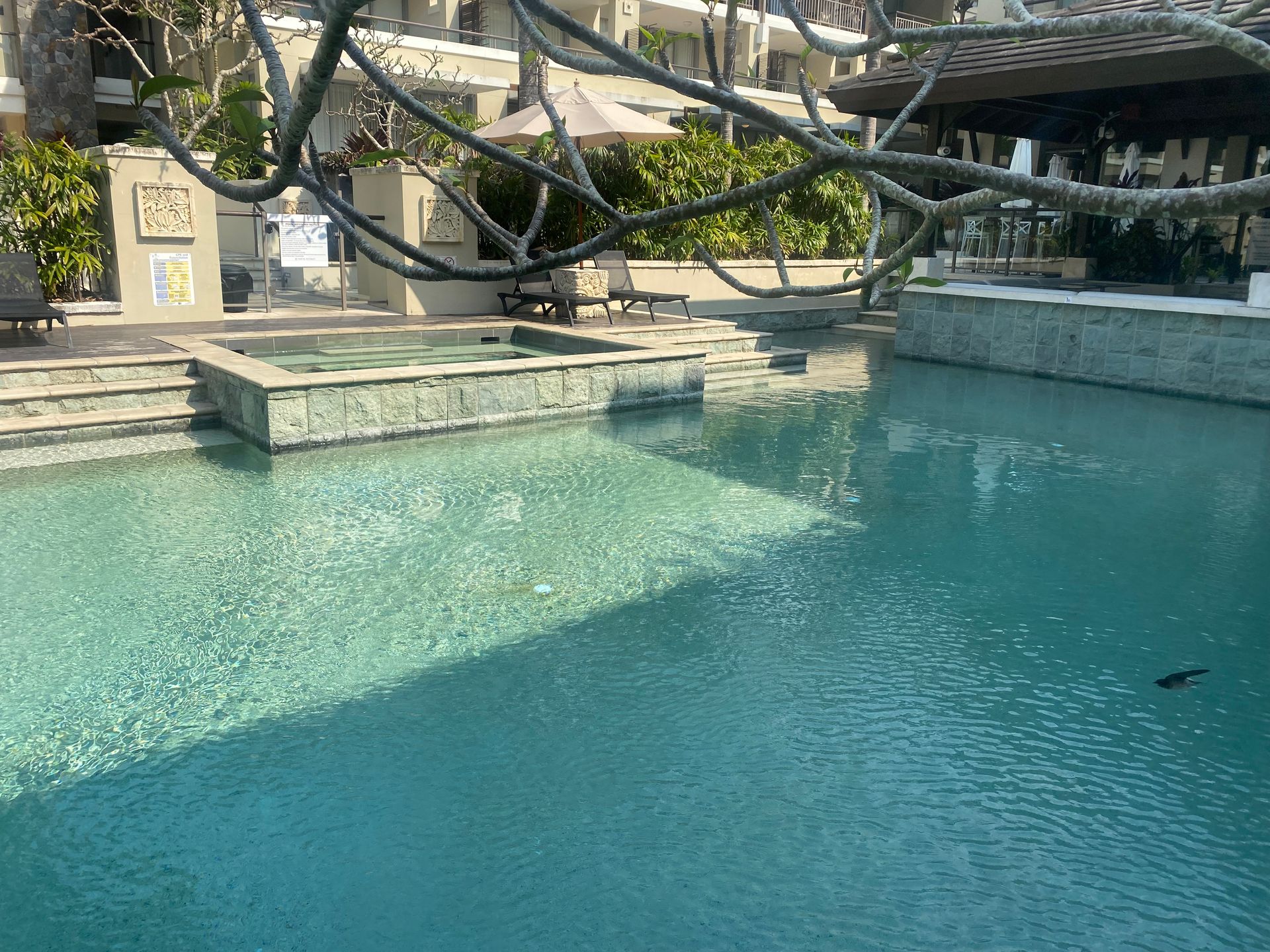 A Person is Cleaning a Swimming Pool With a Vacuum Cleaner — Tweed Coast Pool Care in South Murwillumbah, NSW