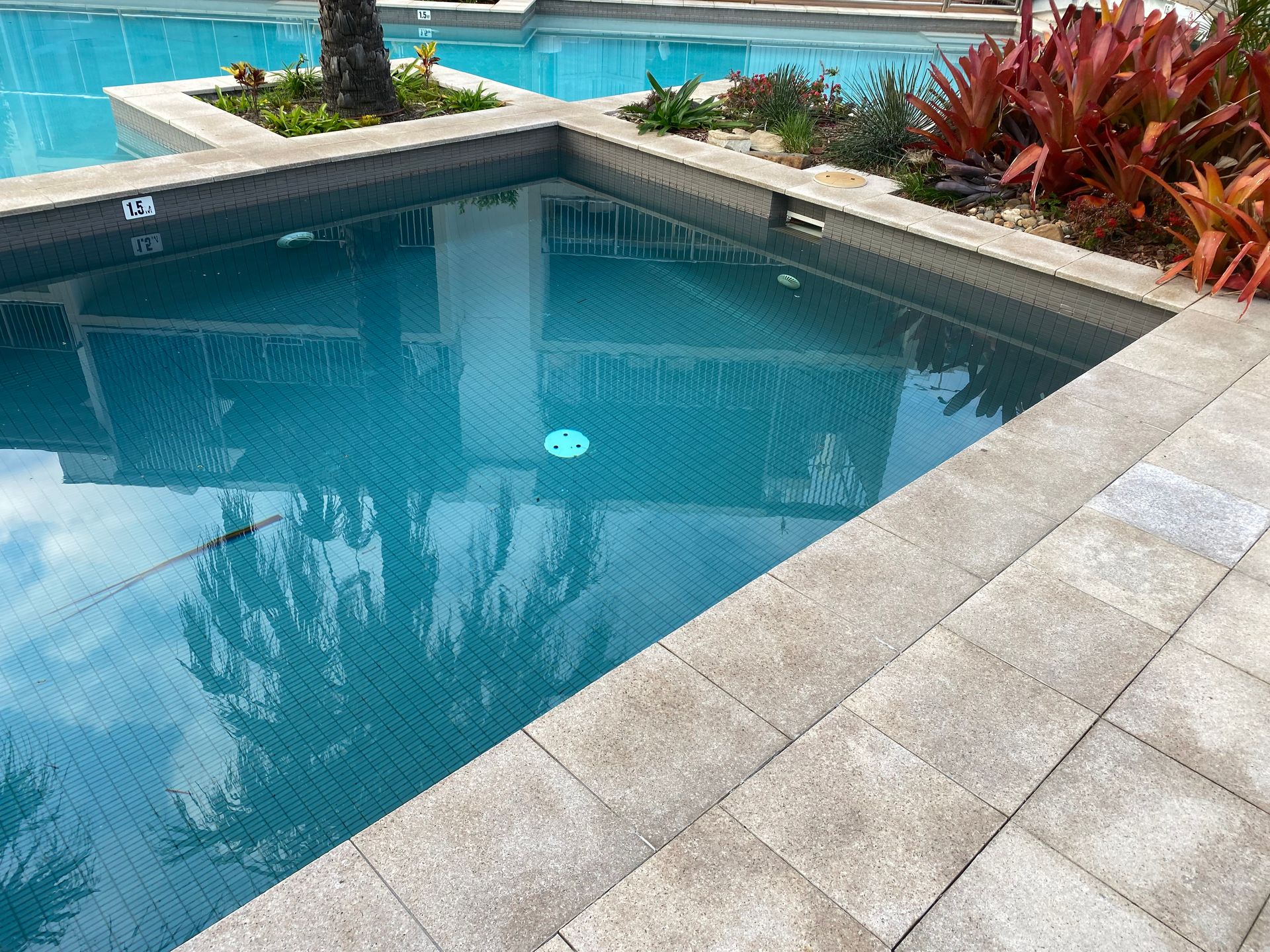 A Pool Cleaner is Being Used to Clean a Swimming Pool — Tweed Coast Pool Care in Currumbin Valley, QLD