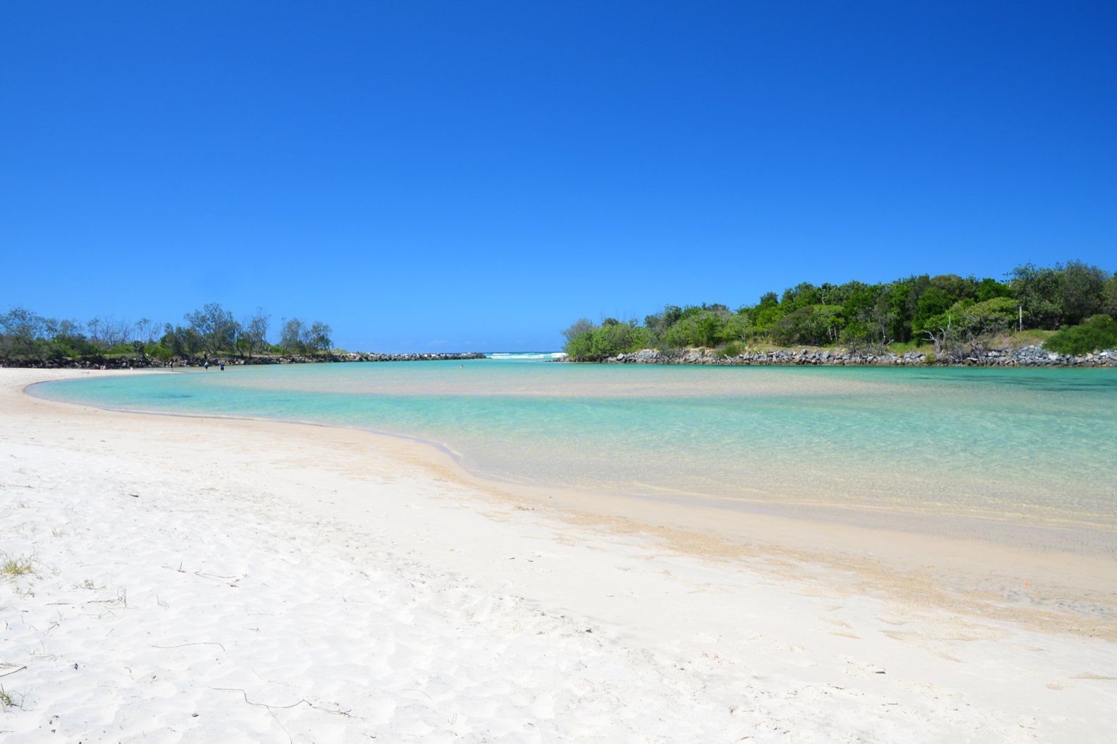 A Beach With a Body of Water and Trees in the Background — Tweed Coast Pool Care in Pottsville, NSW
