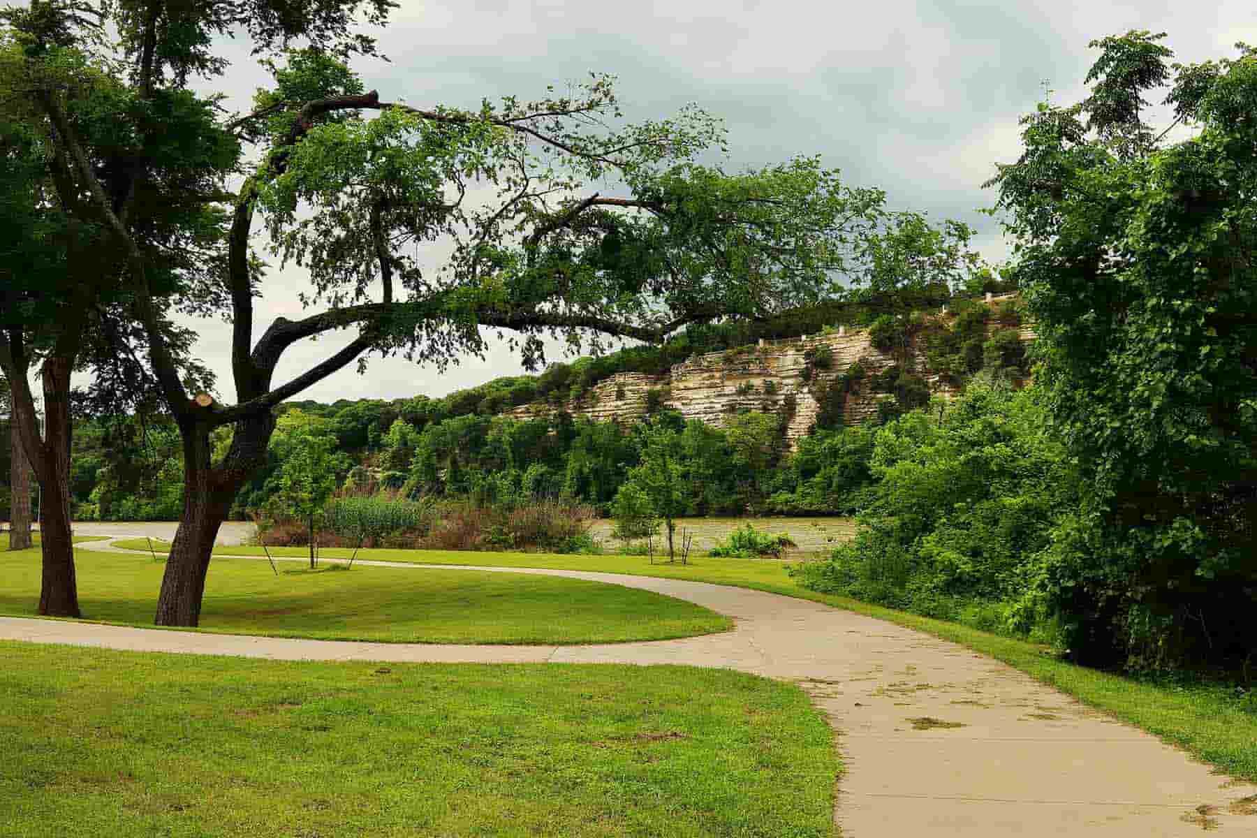 A Path Going Through A Park With Trees On Both Sides — CJ Electrical & Solar In Cameron Park, NSW