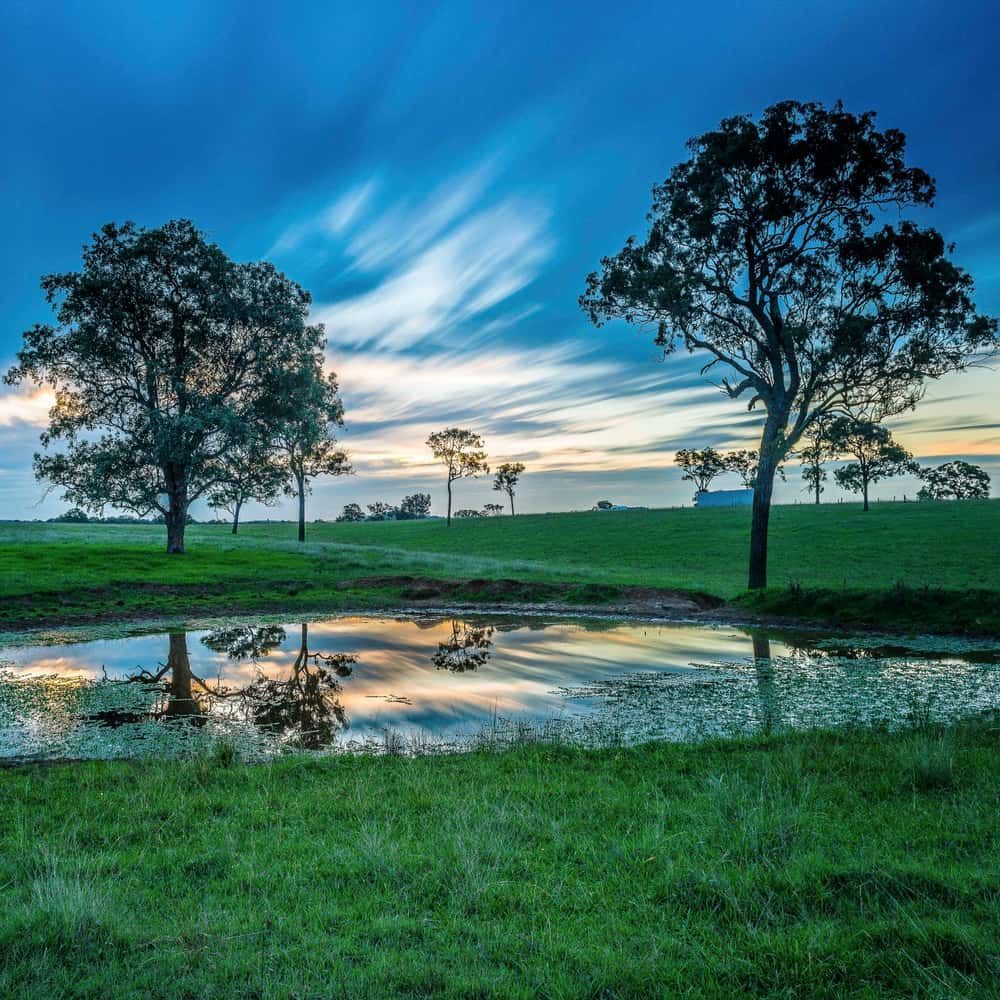 A Sunset Over A Field With Trees And A Pond — CJ Electrical & Solar In Lochinvar, NSW