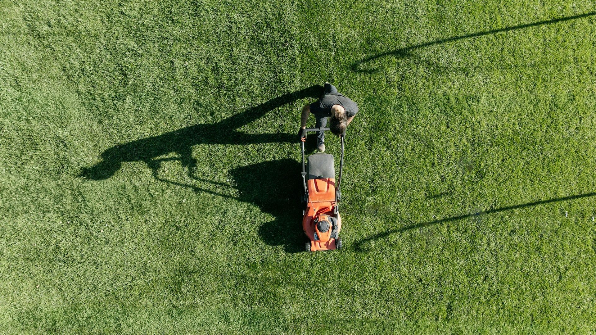 Office Park Landscape Maintenance