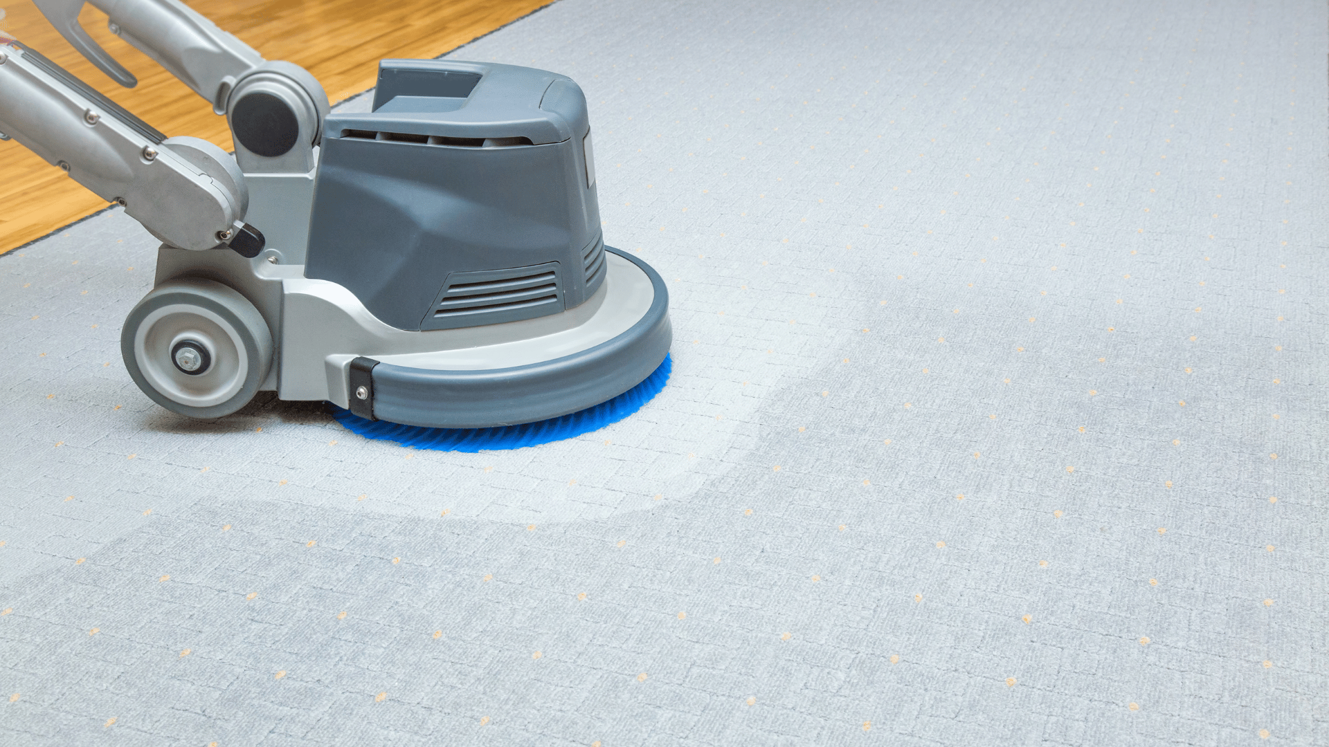 Carpet cleaning
